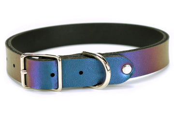 Peacock Dog Collar