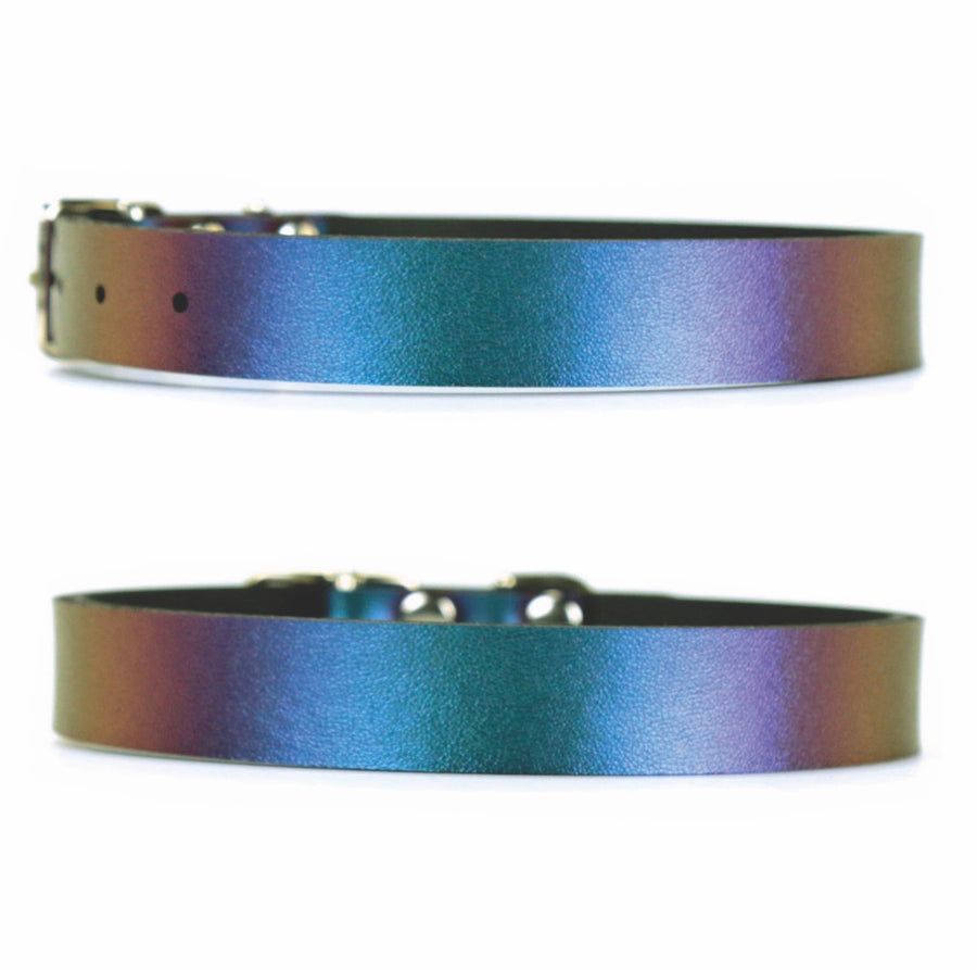 Peacock Dog Collar