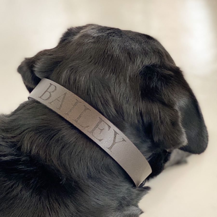 Saddle Dog Collar