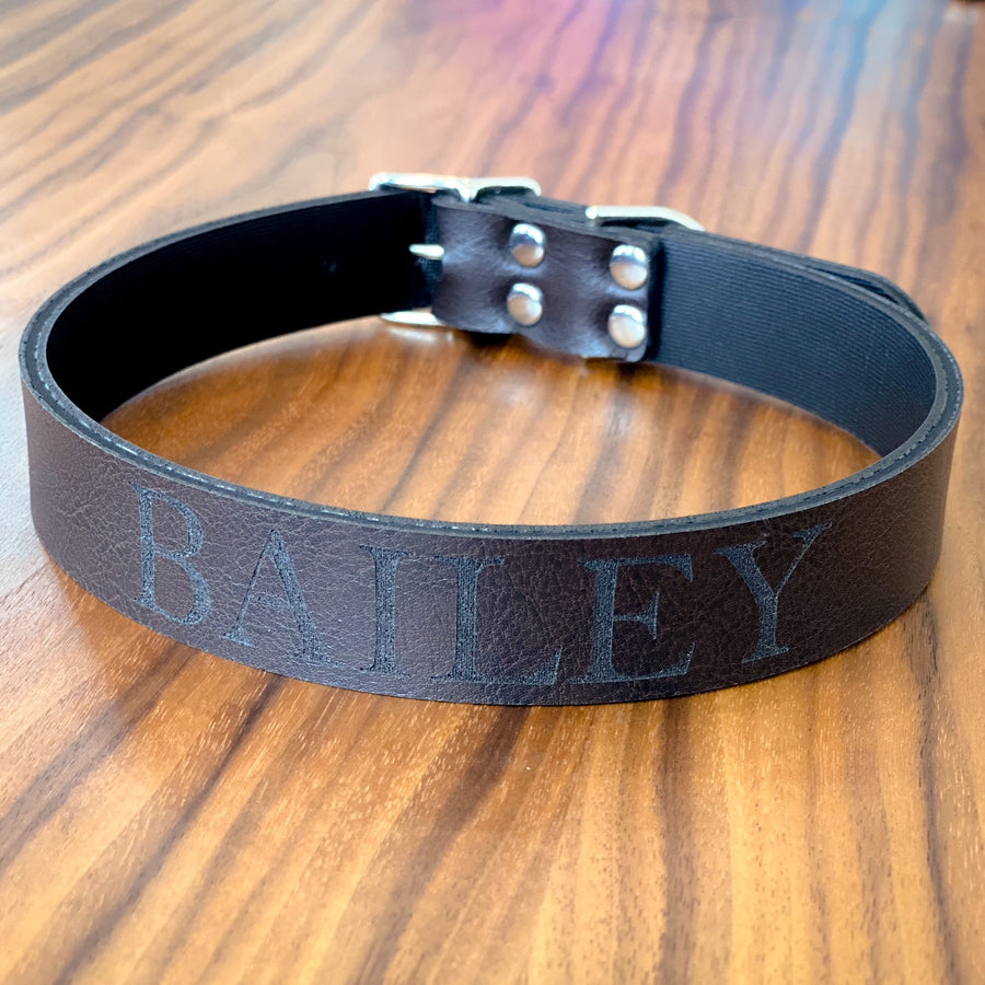 Saddle Dog Collar