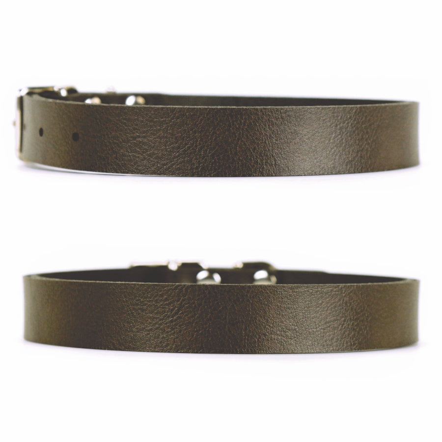 Saddle Dog Collar