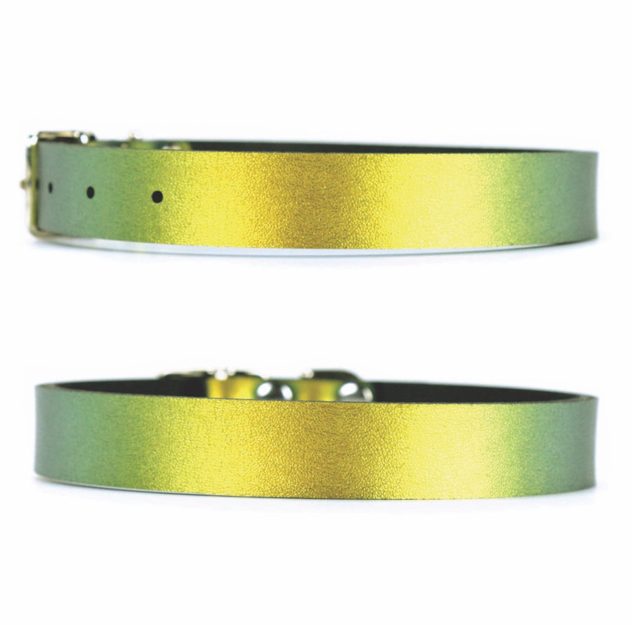 Scarab Dog Collar