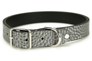 Steel Dog Collar