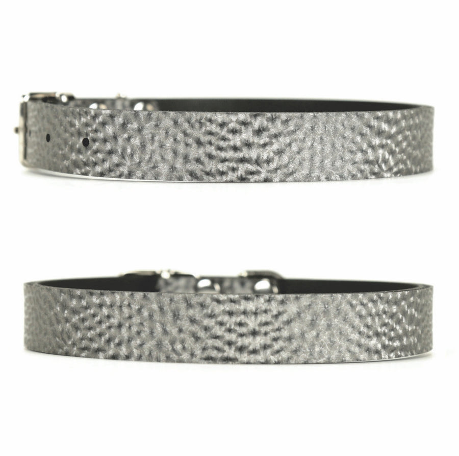 Steel Dog Collar