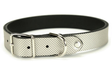 Sterling Dog Collar