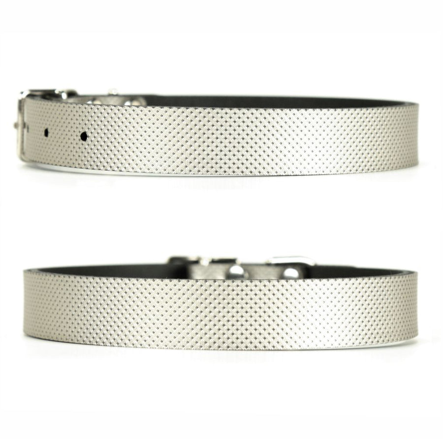 Sterling Dog Collar